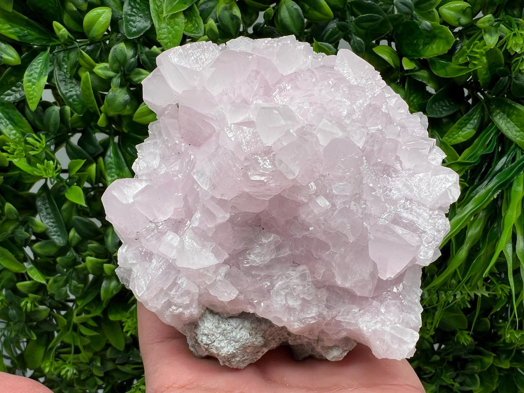 UV Reactive Mangano Calcite Crystal: Androvo Mine Bulgaria