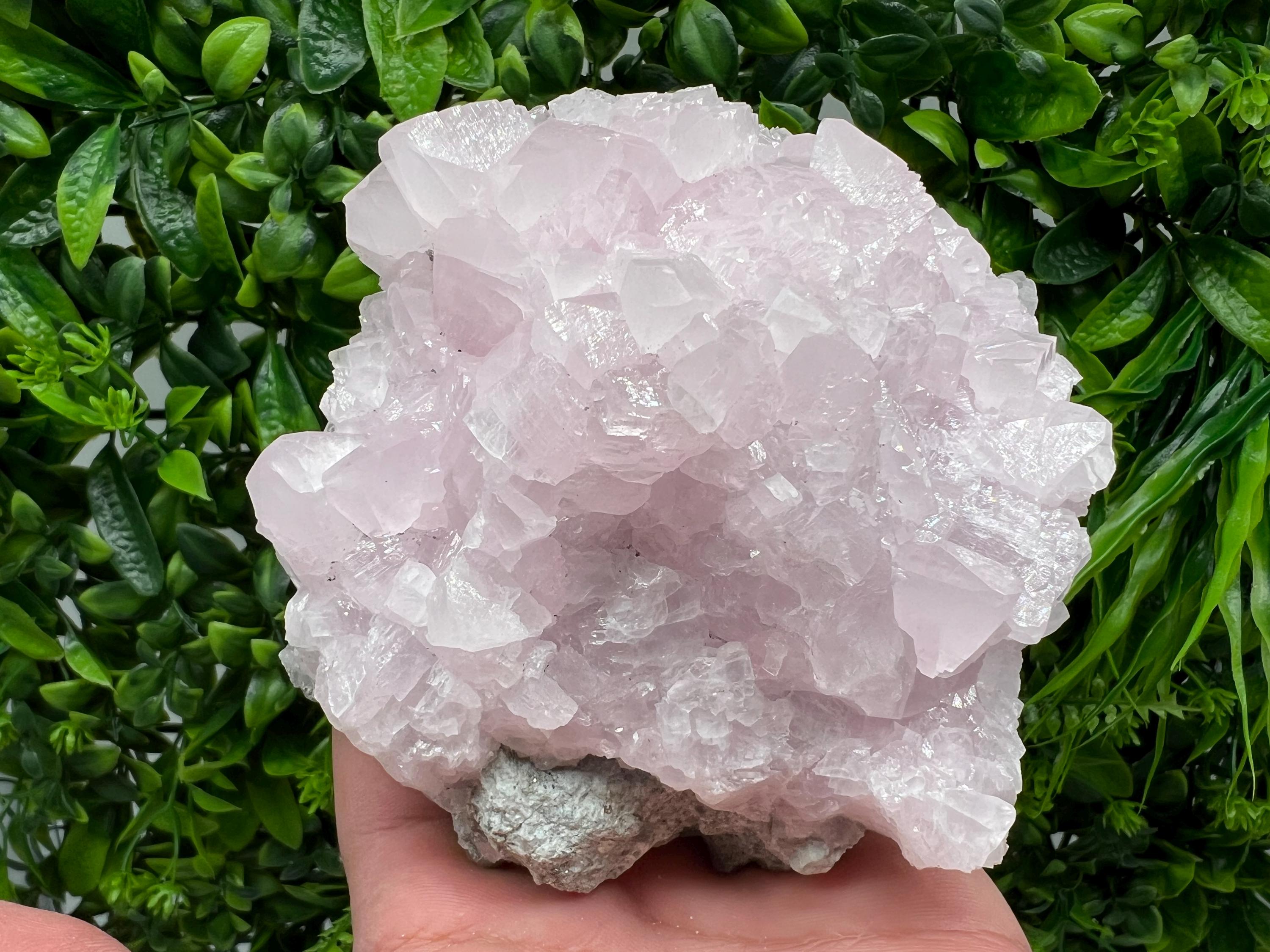 UV Reactive Mangano Calcite Crystal: Androvo Mine Bulgaria