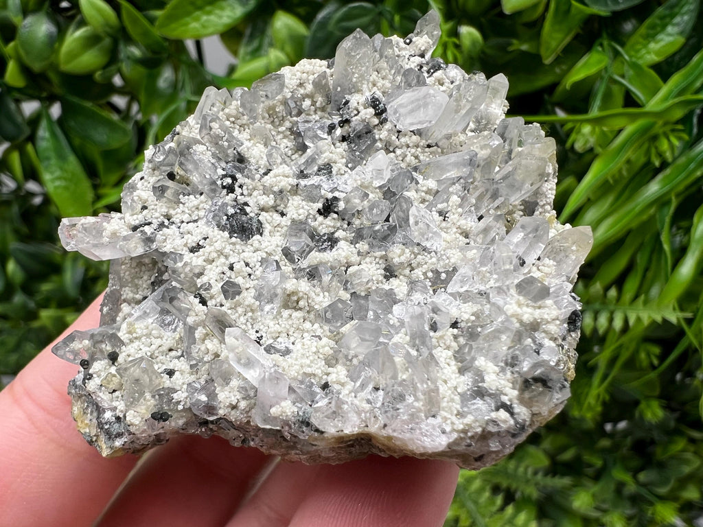 Chlorite Epidote Quartz Specimen, Borieva Mine, Bulgaria