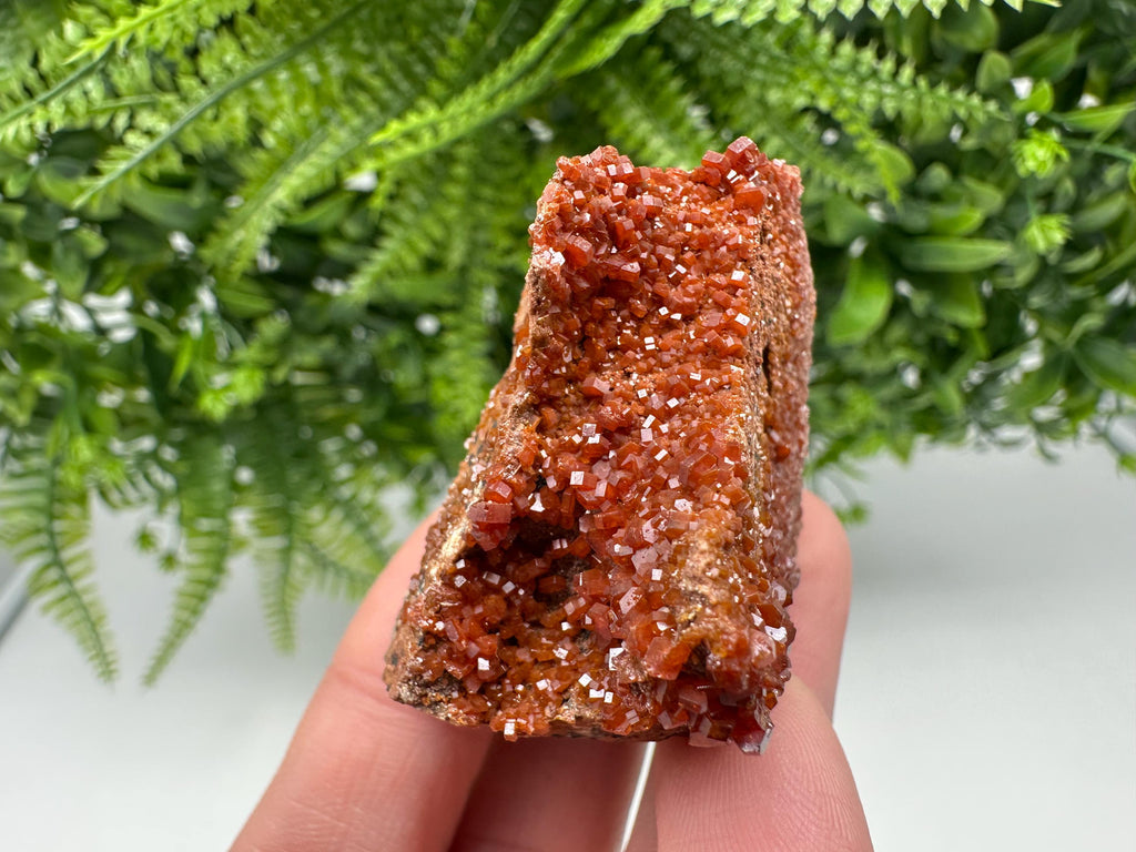Red Vanadinite on Matrix from Marocco,crystal minerals Speciment cluster Vanadinite crystal Vanadinite Geology Vanadinite cluster minerals