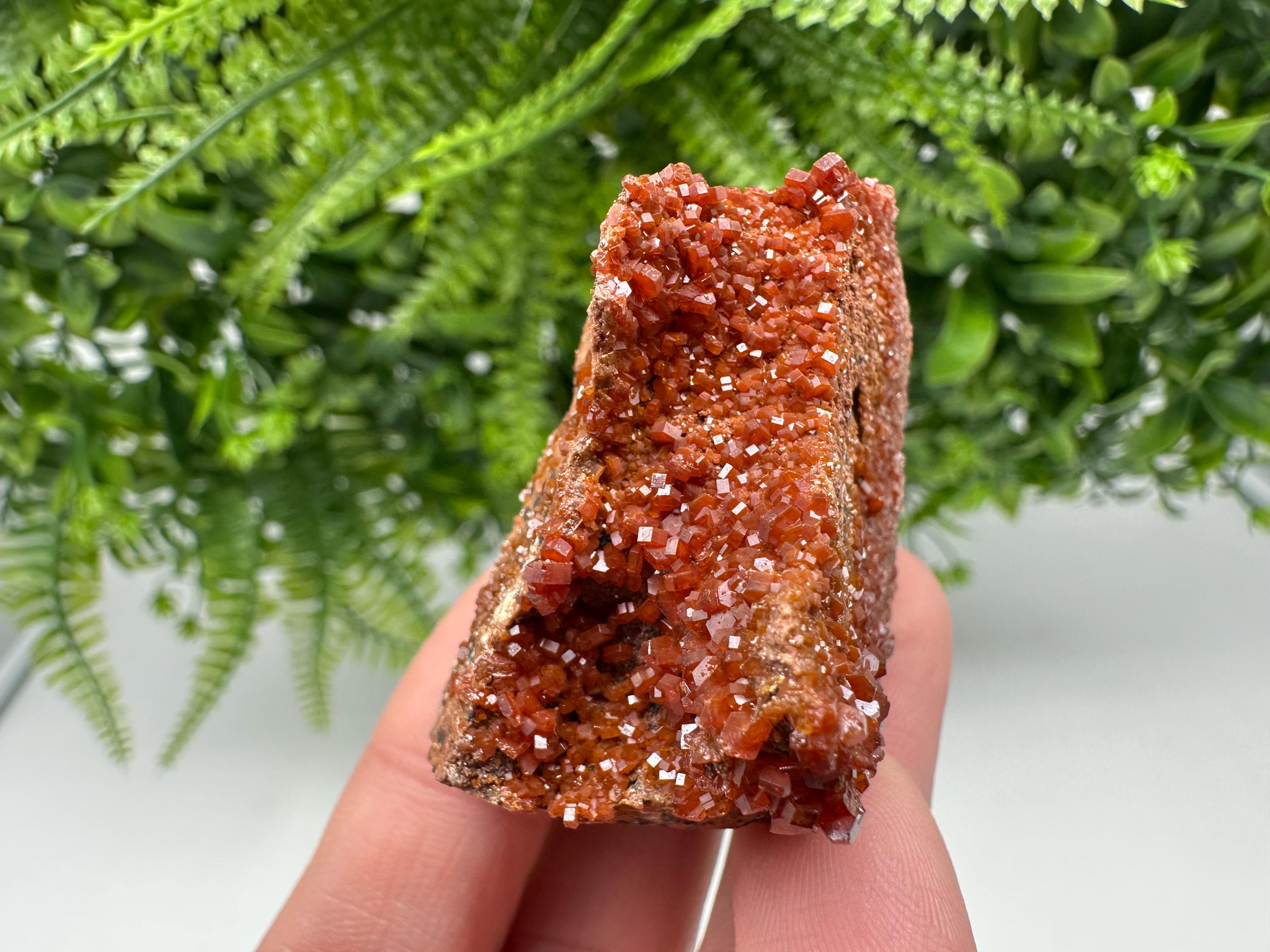 Red Vanadinite on Matrix from Marocco,crystal minerals Speciment cluster Vanadinite crystal Vanadinite Geology Vanadinite cluster minerals