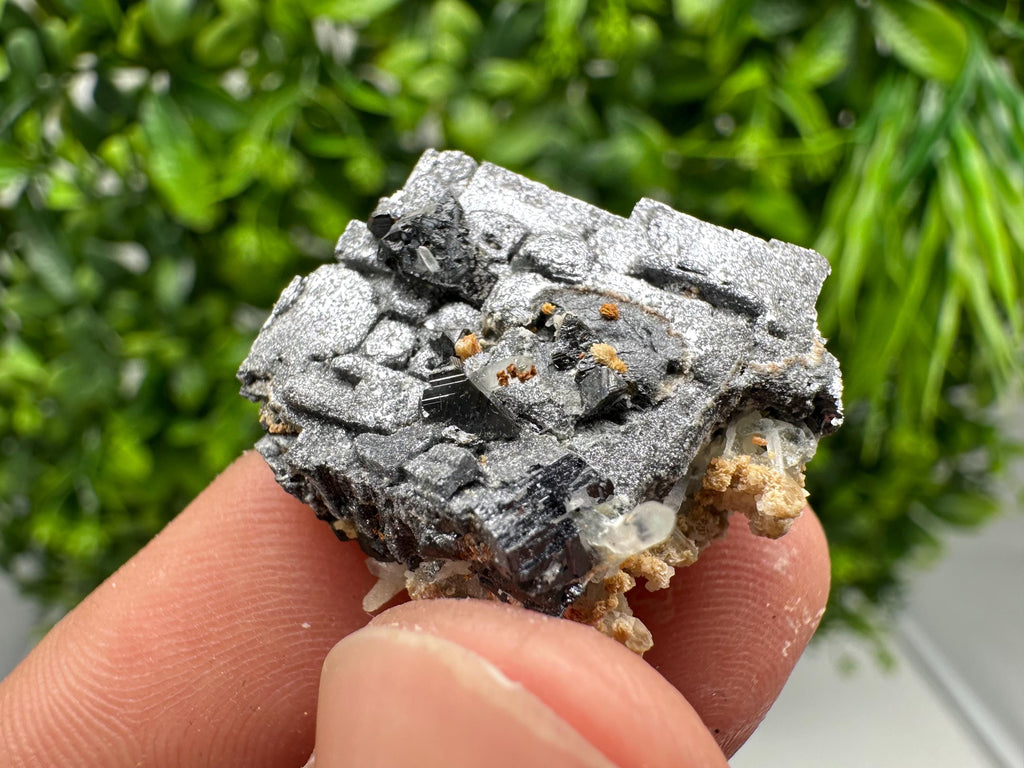 Shiny Galena Cluster: Borieva Mine, Bulgaria - Natural Mineral Stone
