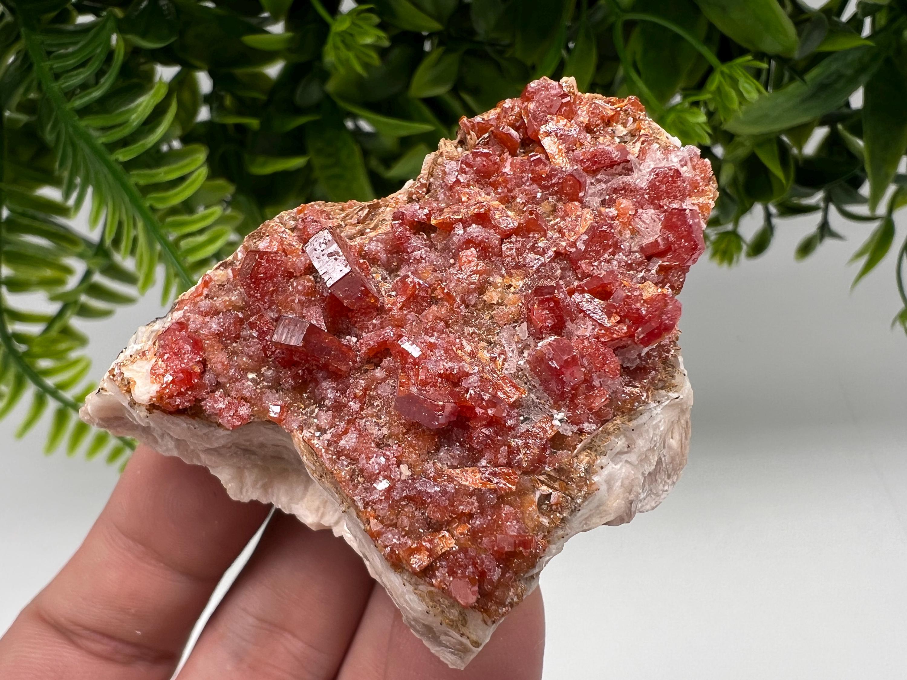 Red Vanadinite on Barite Specimen, Morocco Mineral Cluster