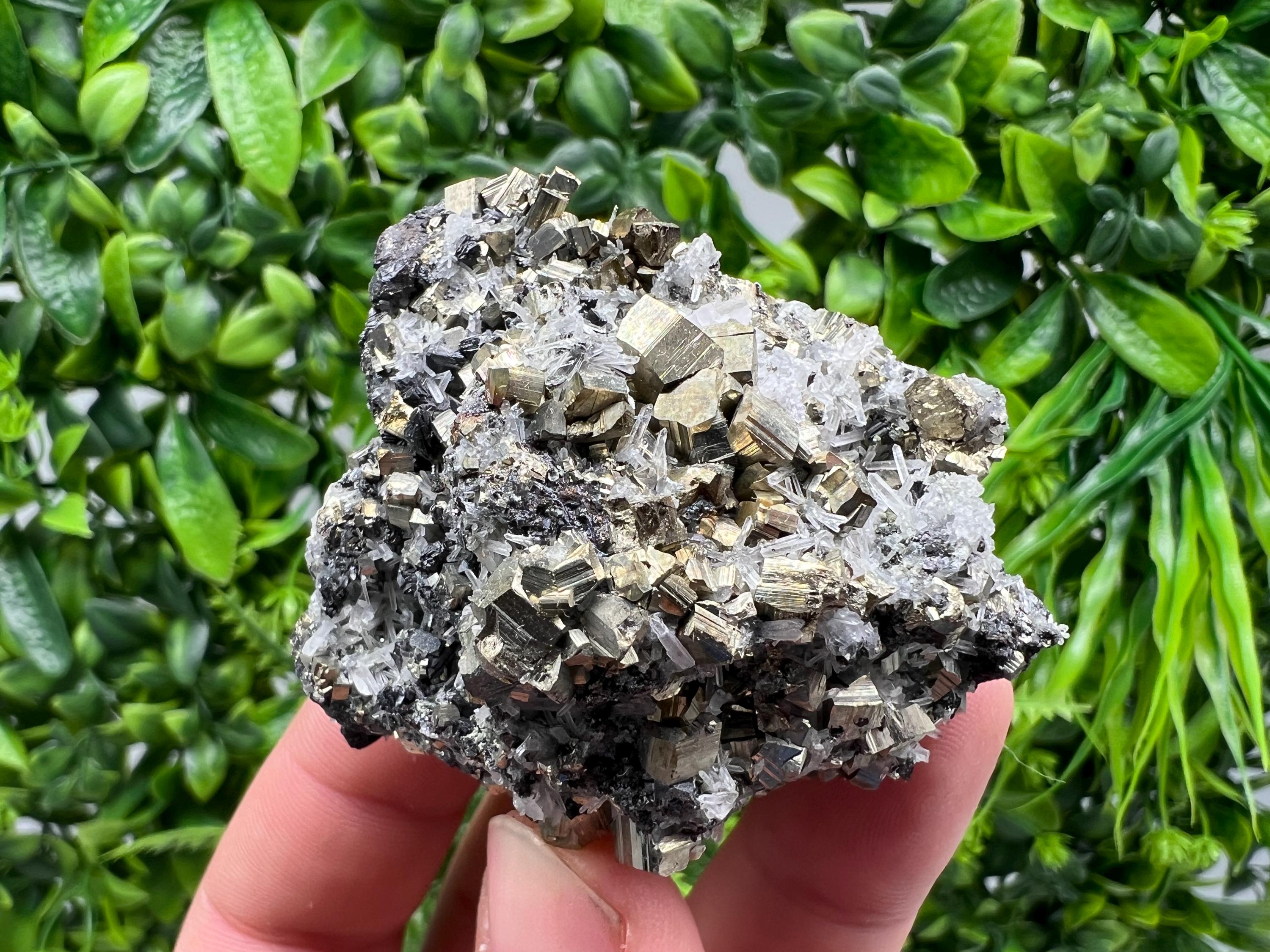 Rainbow Pyrite on Quartz, Natural Mineral Specimen, Borieva Bulgaria
