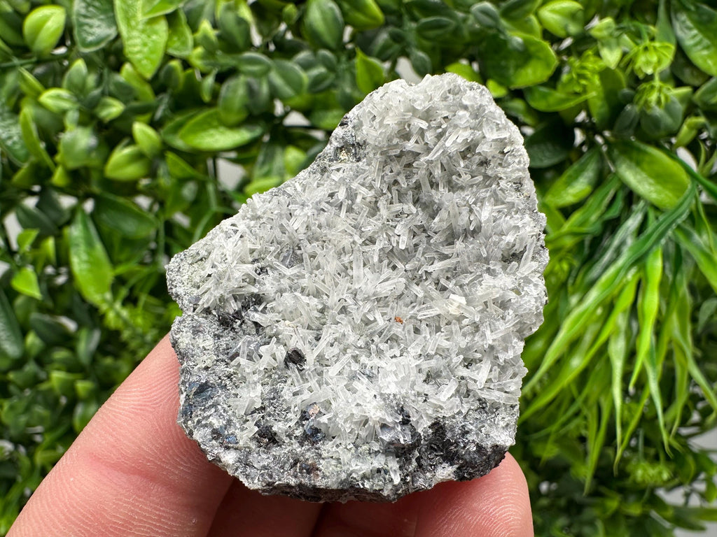 Pyrite on Green Quartz Specimen: Borieva Mine Mineral Decor