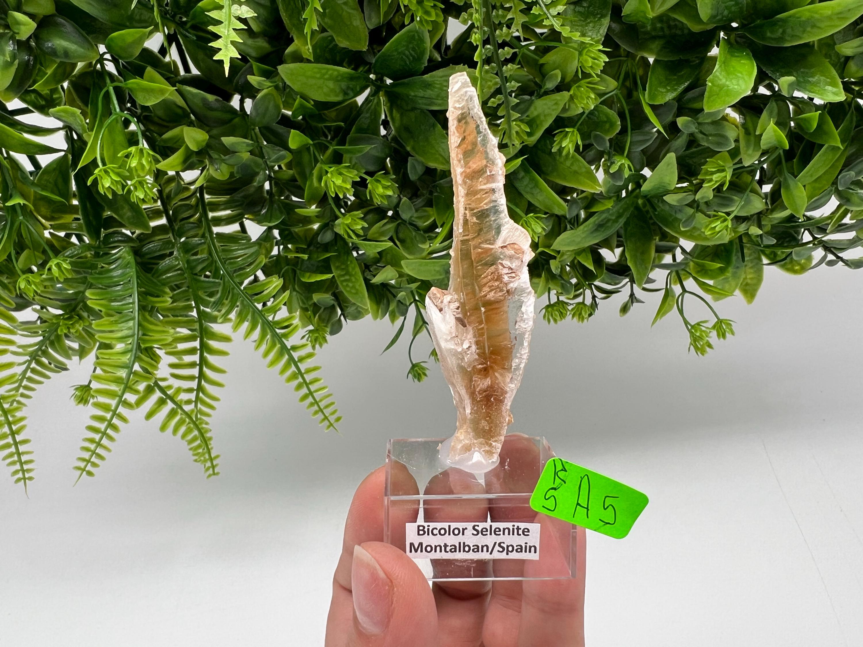 Golden Phantom Selenite Slab: Utah Raw Crystal Wand