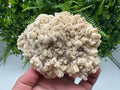 Fluorescent Mangano Calcite Specimen: Rhodopes Bulgaria Mineral Decor