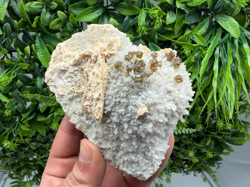Sphalerite Cleiophane on Quartz, Krushev Dol Mine, Bulgaria