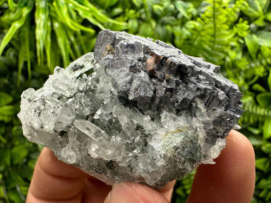 Quartz and Galena Mineral Specimen: Borieva Mine, Bulgaria