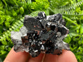 Borieva Sphalerite on Quartz: Rare Mineral Cluster