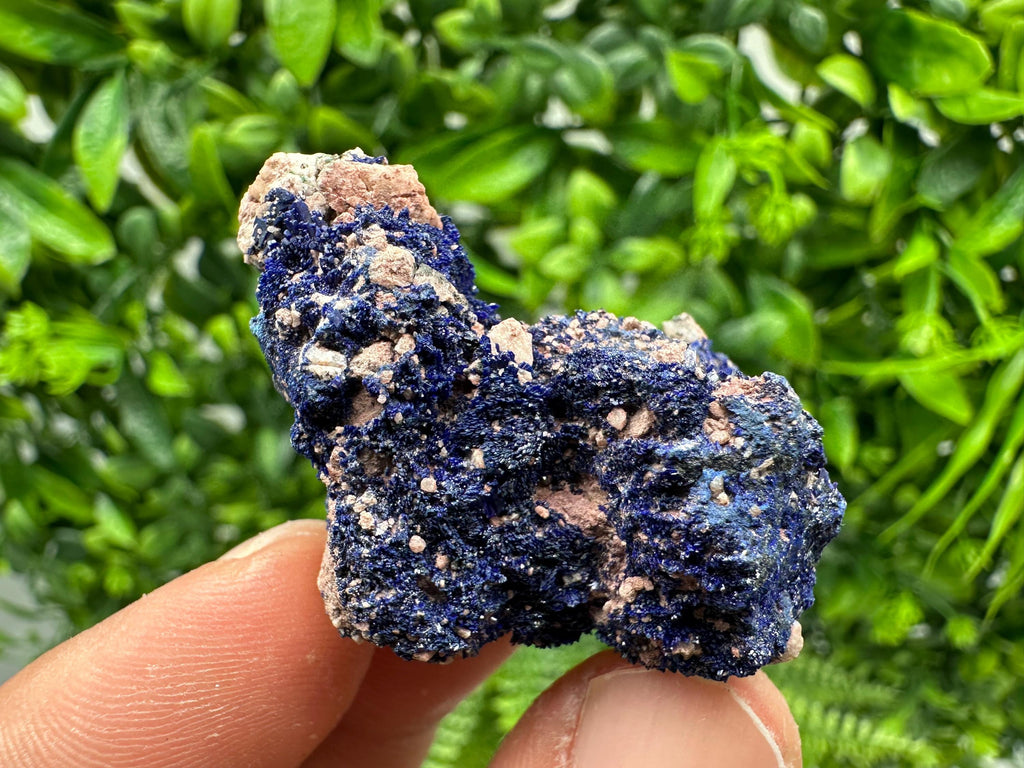 Crystallized Azurite-Kerrouchen,Morocco-Blue Azurite Specimen-High Quality Blue Azurite-Azurite Mineral Specimen, gemmy,lustrous of Azurite