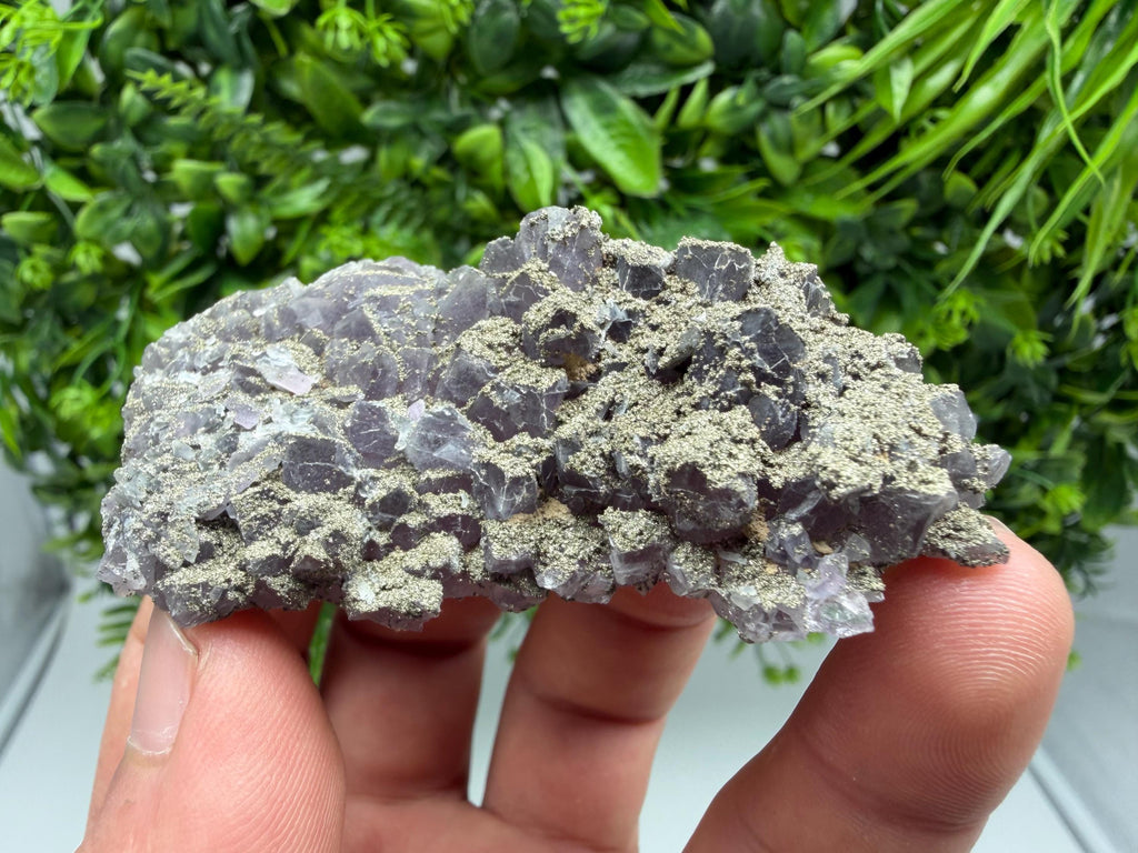 Amethyst Phantom Cluster, Chala Mine Bulgaria, Rare Crystal Specimen