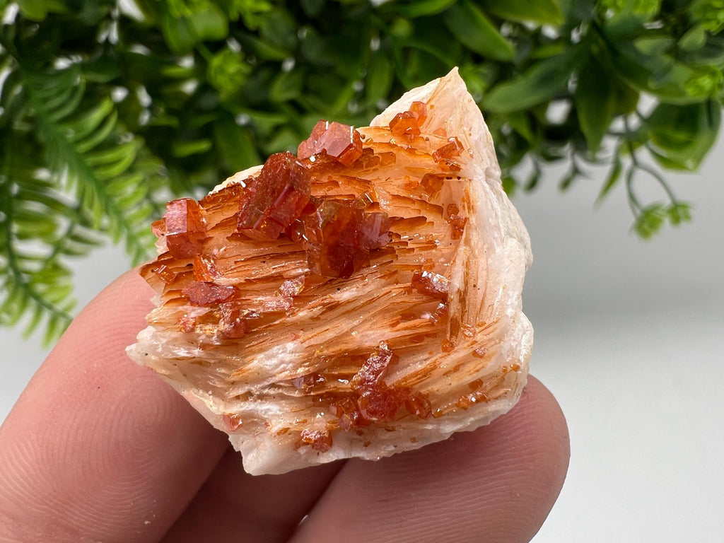 Red Vanadinite on Barite Specimen, Moroccan Crystal Mineral Cluster