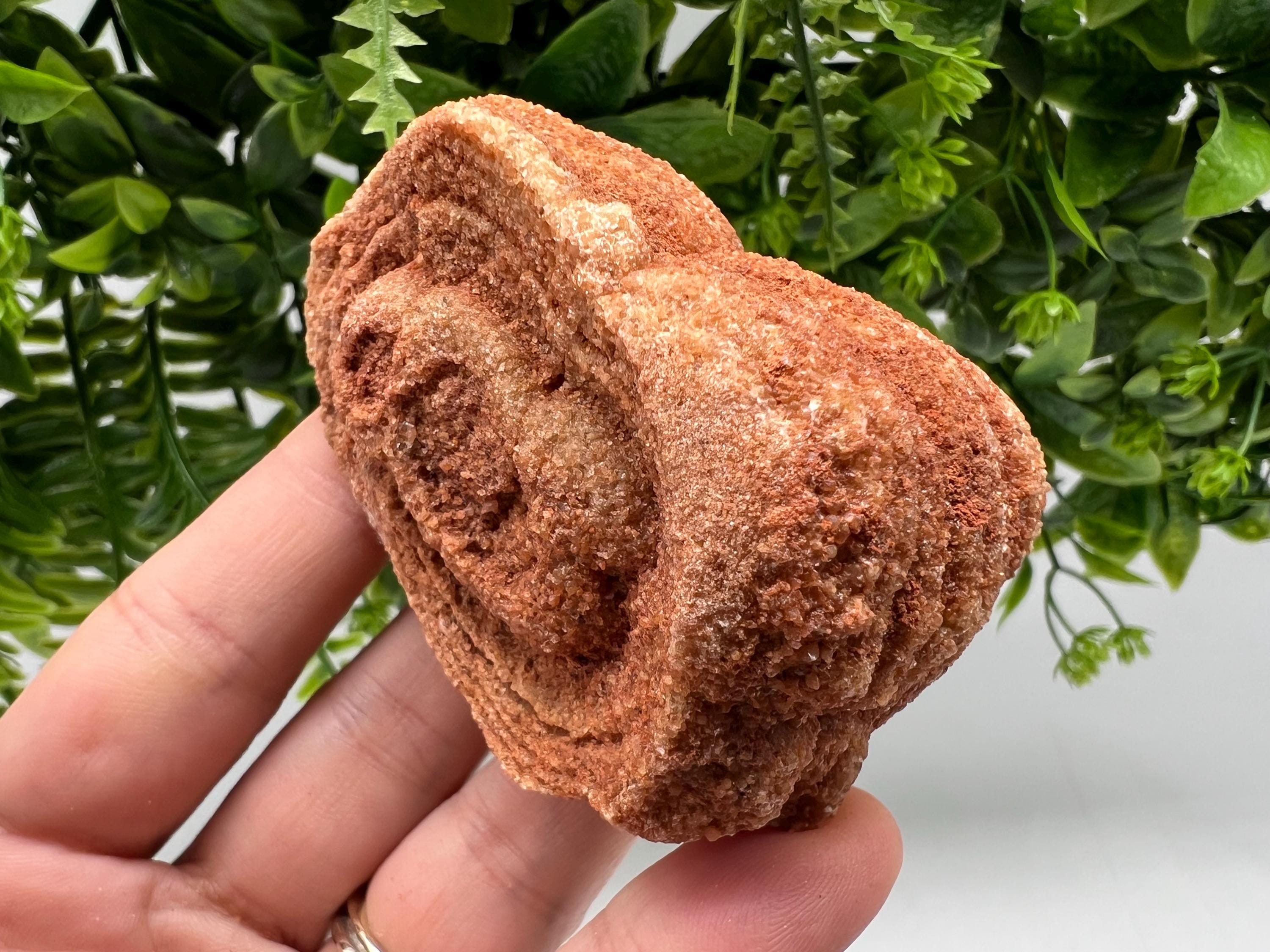 Raw Moroccan Stromatolite Fossil Specimen, Grounding Algae
