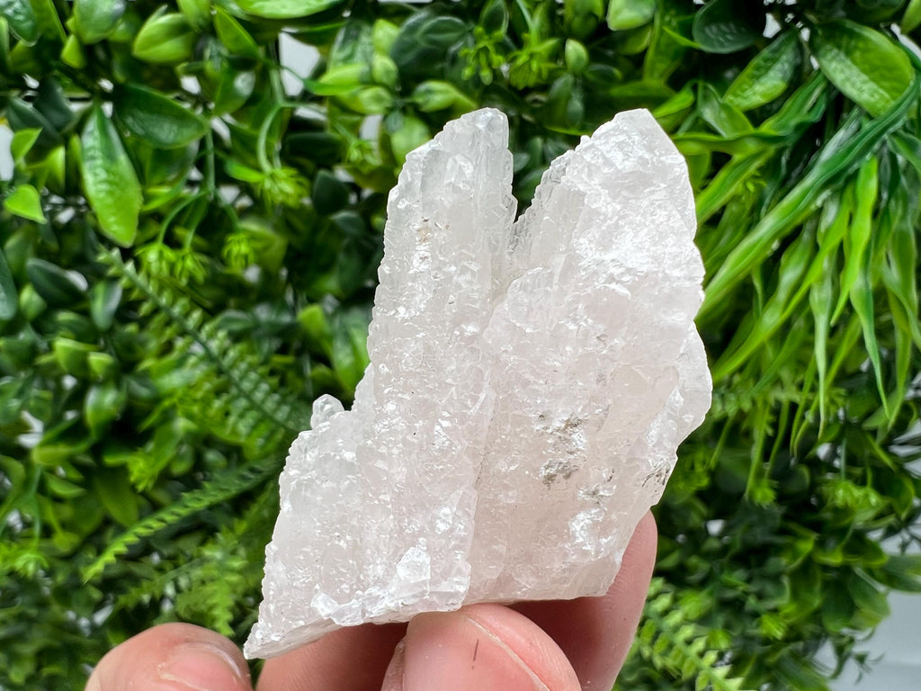 Mangano Calcite with Galena, Borieva Mine Crystal, Bulgaria