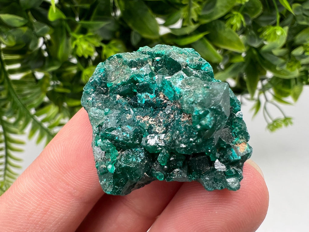 Stunning Green Dioptase from Sanda Hills,Mindouli,Pool Department,Mindouli District,Congo,green Dioptase,Dioptas Crystal,Dioptase collecting