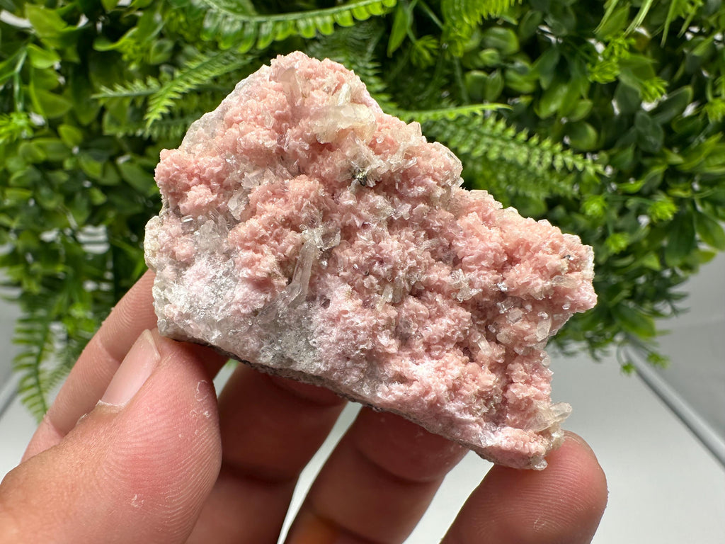 One beautiful cabinet size specimen of rhodochrosite, overgrowth by well-terminated quartz crystals Starnica mine Davidcovo area Bulgaria