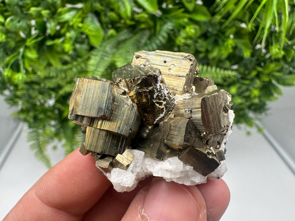 Rare Crystallization Pyrite, Borieva Mine, Bulgaria, Rainbow Golden Pyrite