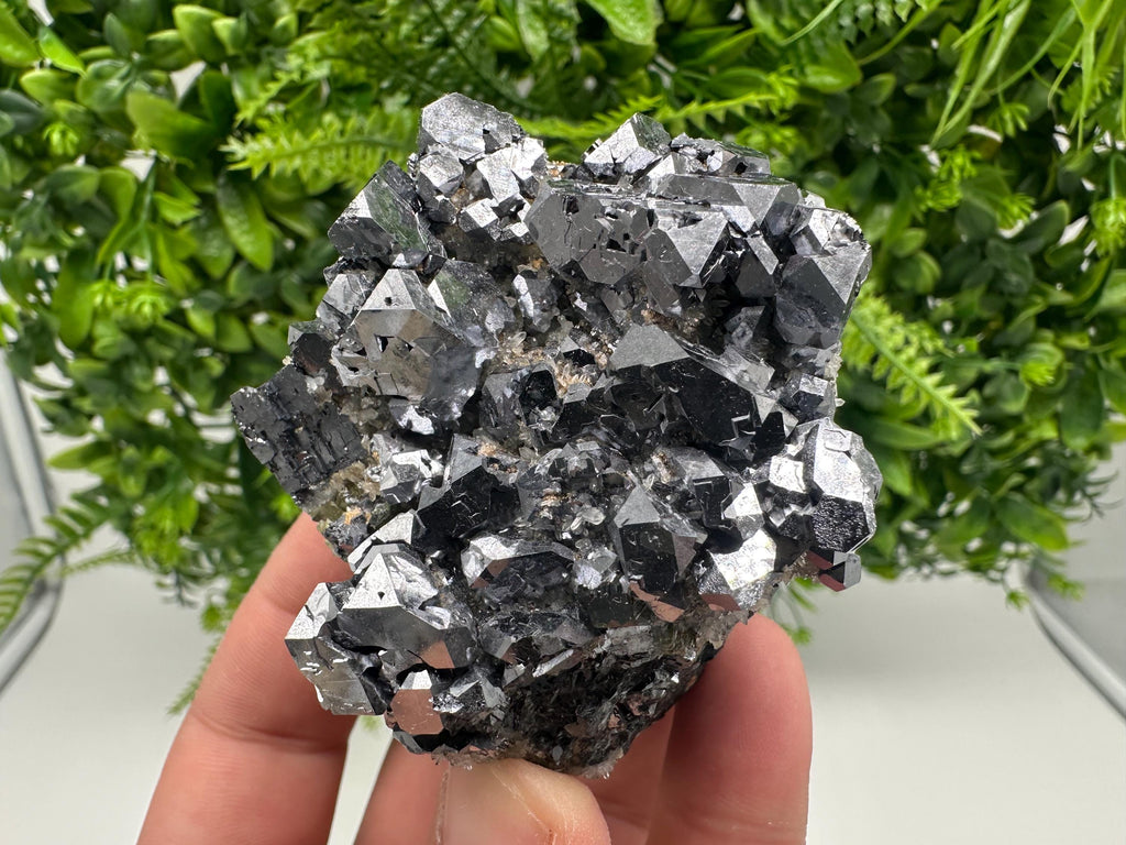 Galena with Quartz Specimen: Krushev Dol Mine, Bulgaria