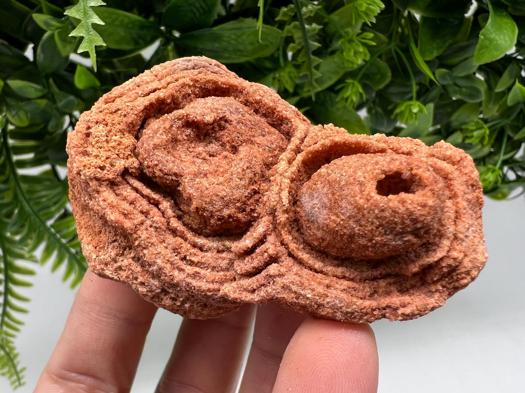 Raw Moroccan Stromatolite Fossil Specimen, Grounding Meditation