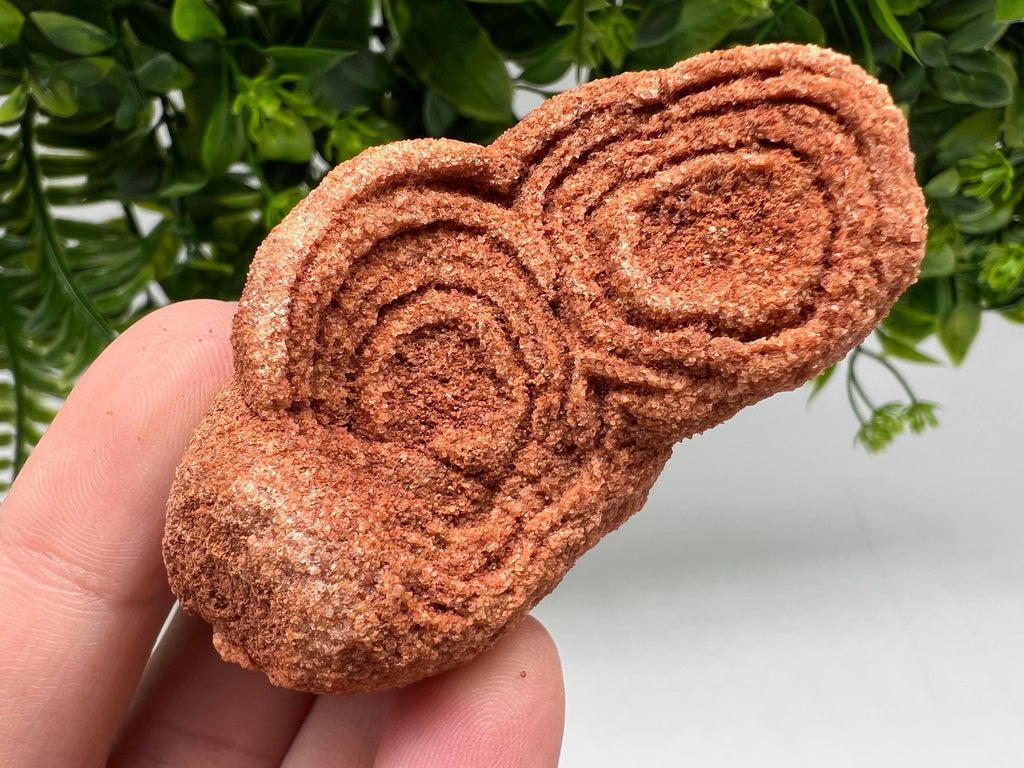 Moroccan Stromatolite Fossil Specimen, Raw Algae Fossil