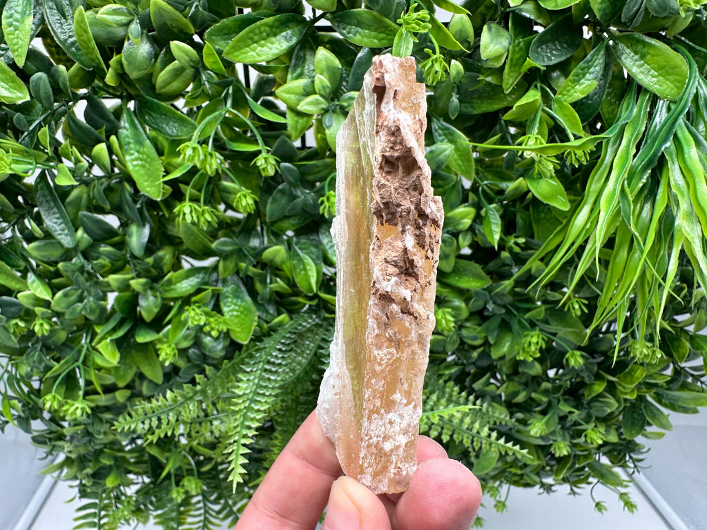 Golden Phantom Selenite Slab: Utah Raw Crystal Wand (2.2/6cm