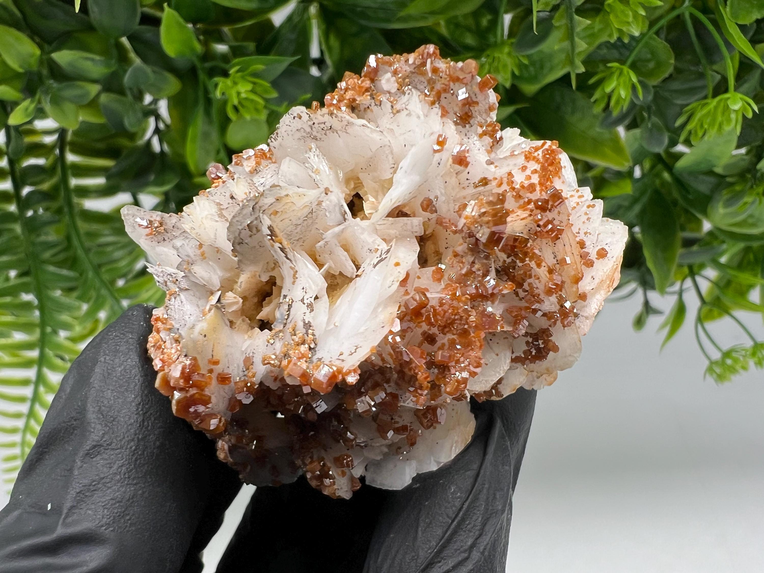 Red Vanadinite on Barite from Marocco,crystal minerals Speciment cluster Vanadinite crystal Vanadinite Geology Vanadinite cluster minerals