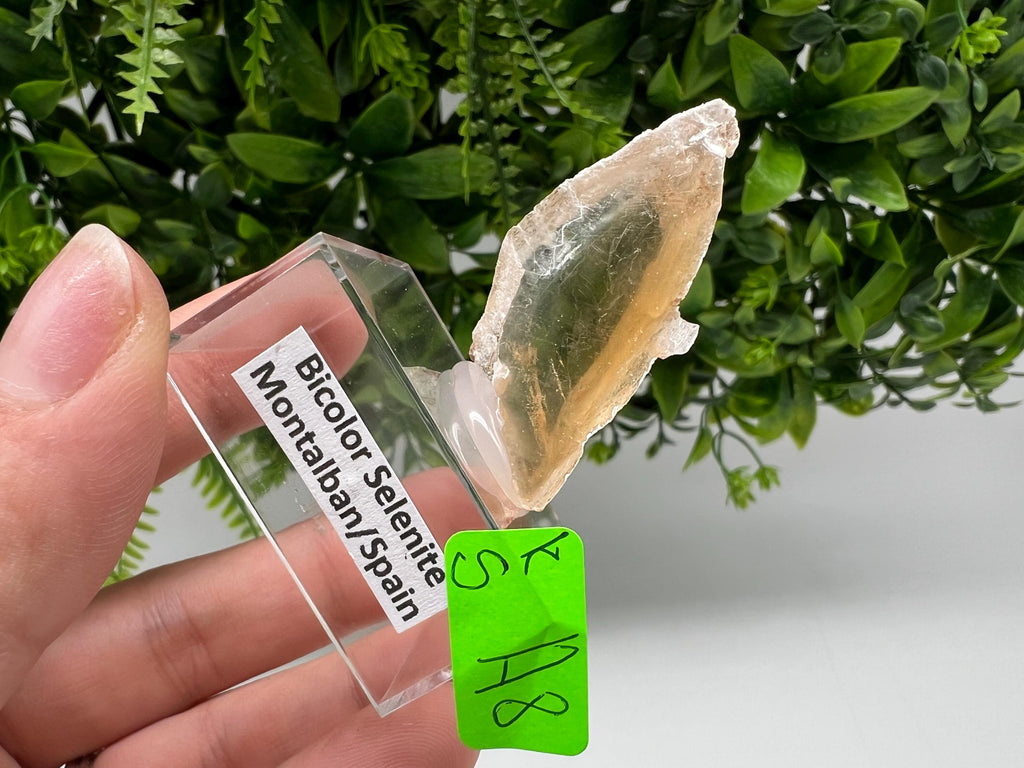 Golden Phantom Selenite Slab, Raw Utah Crystal (3/4cm)