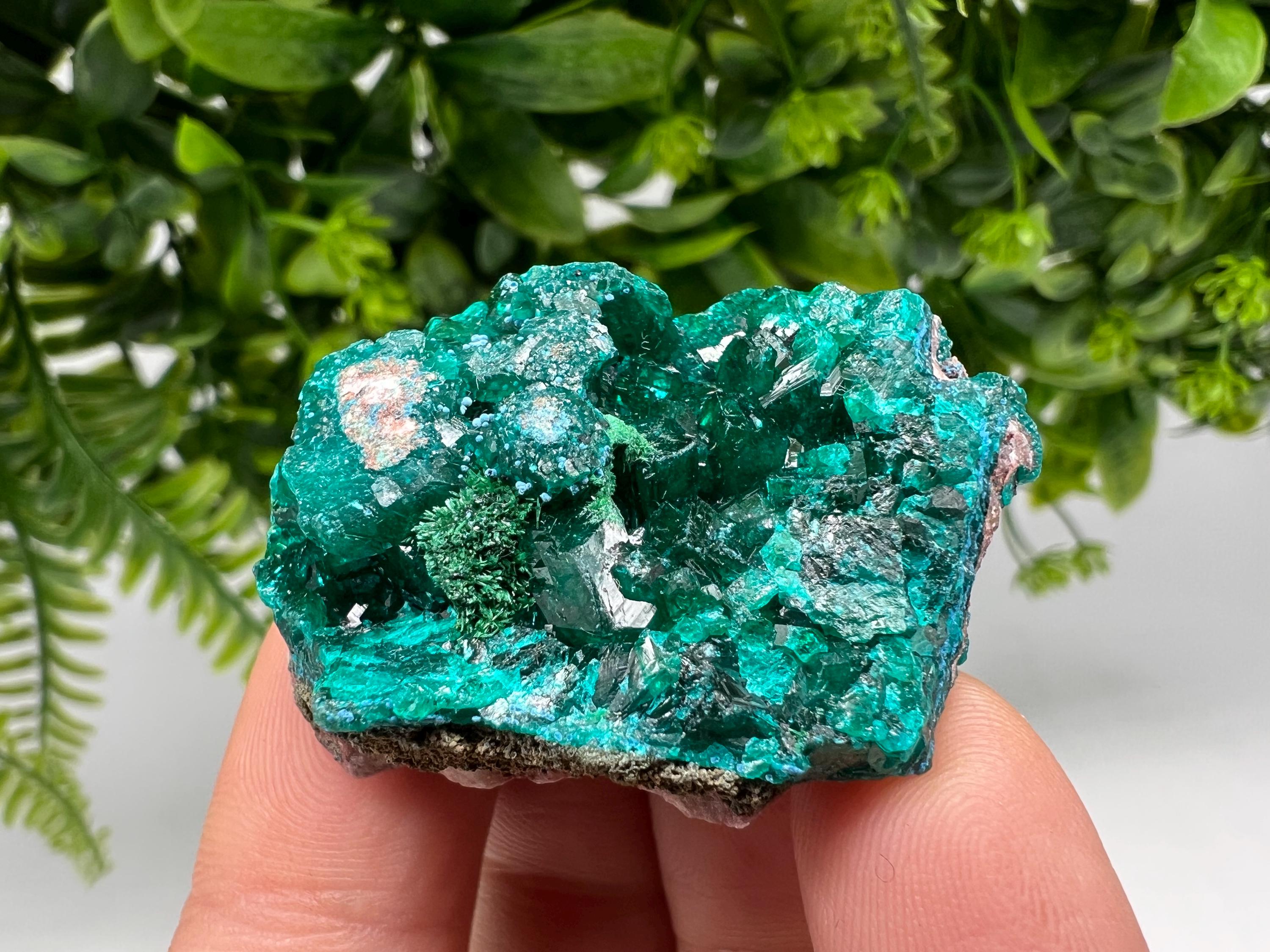 Stunning Green Dioptase from Sanda Hills,Mindouli,Pool Department,Mindouli District,Congo,green Dioptase,Dioptas Crystal,Dioptase collecting
