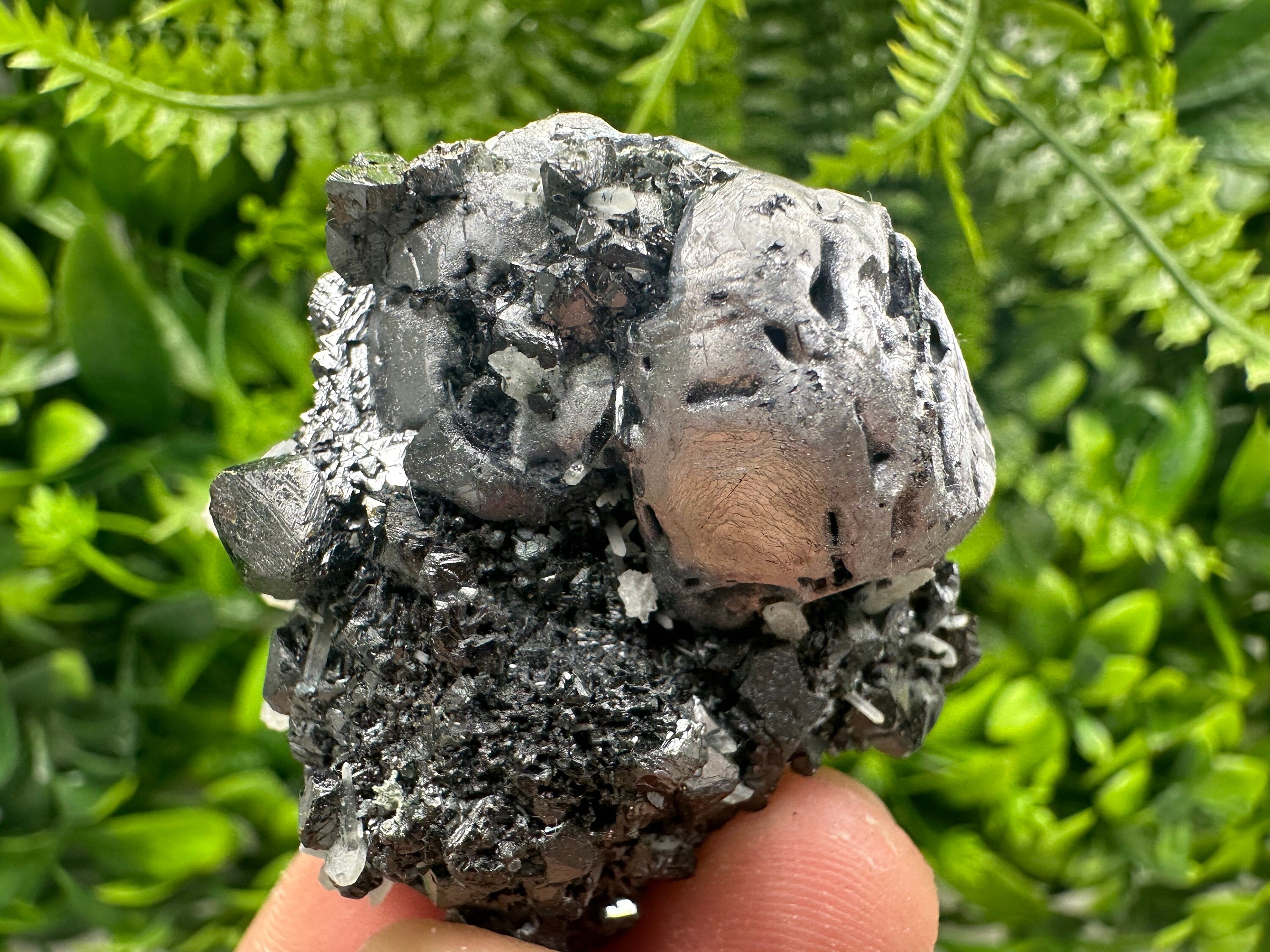 Mirror Galena, Calcite, Sphalerite on Quartz with Chlorite, Borieva Bulgaria
