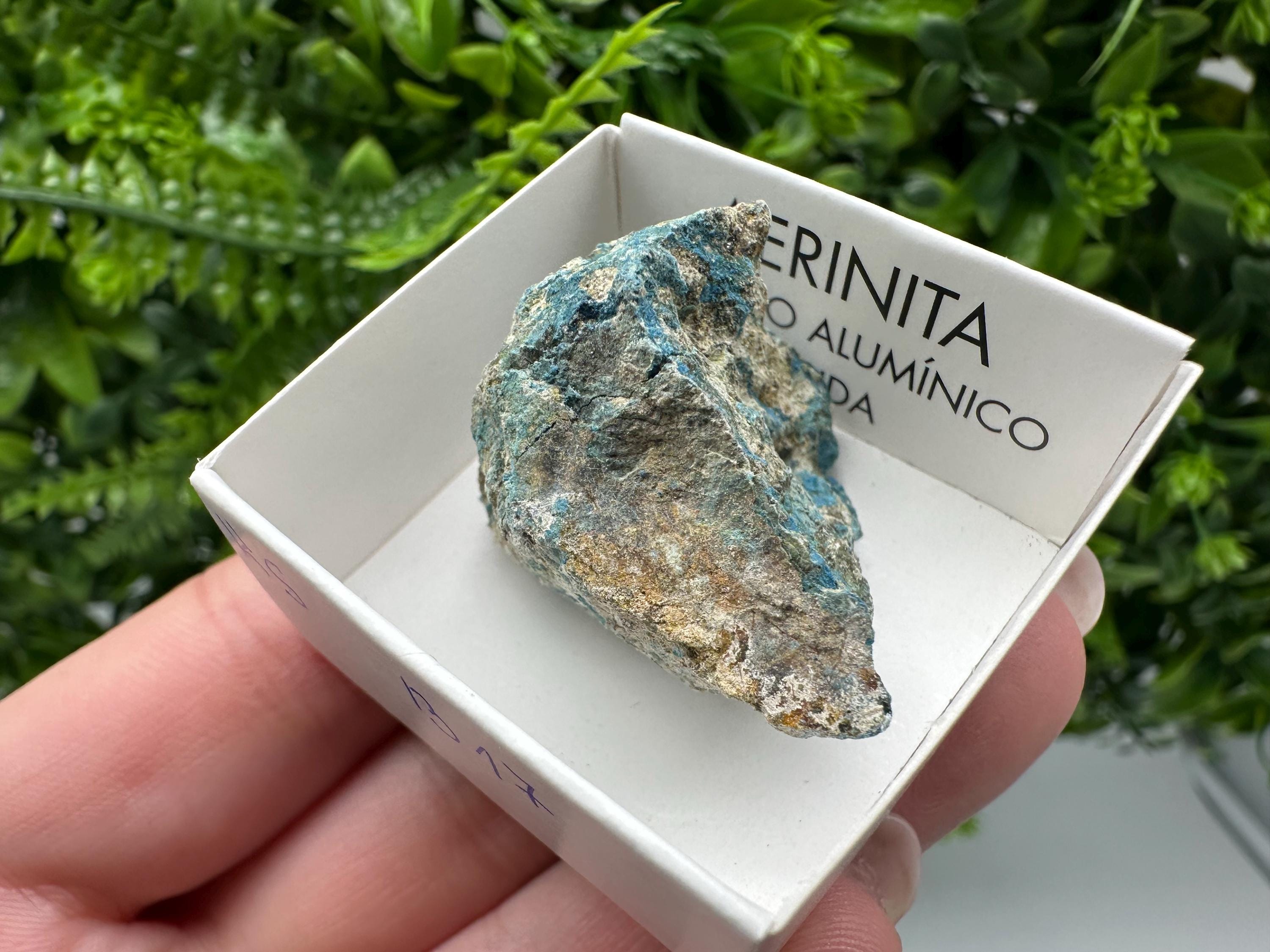 Rare Raw Aerinite Mineral Specimen: Lleida, Spain Crystal
