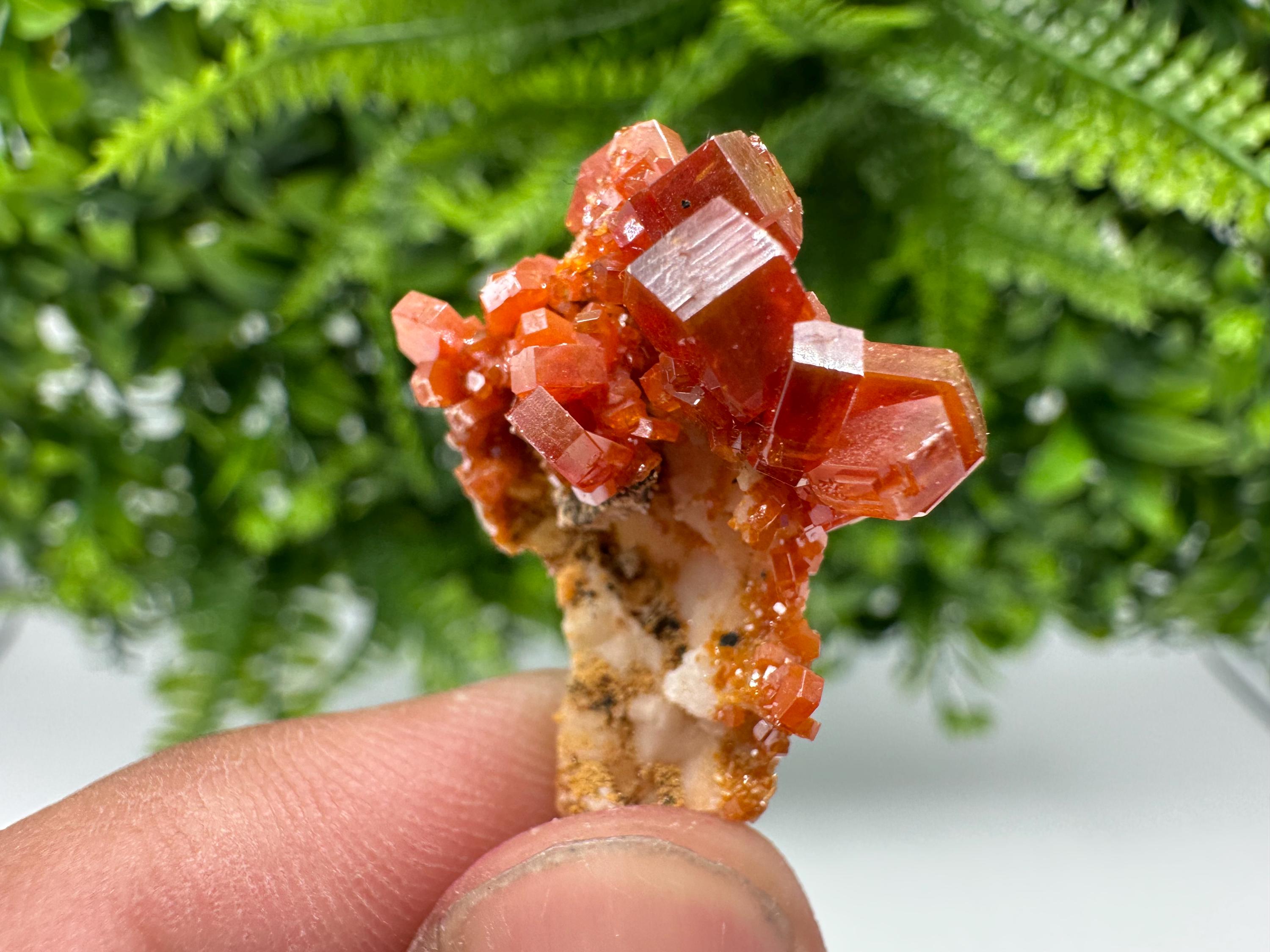 Red Vanadinite on Barite from Marocco,crystal minerals Speciment cluster Vanadinite crystal Vanadinite Geology Vanadinite cluster minerals