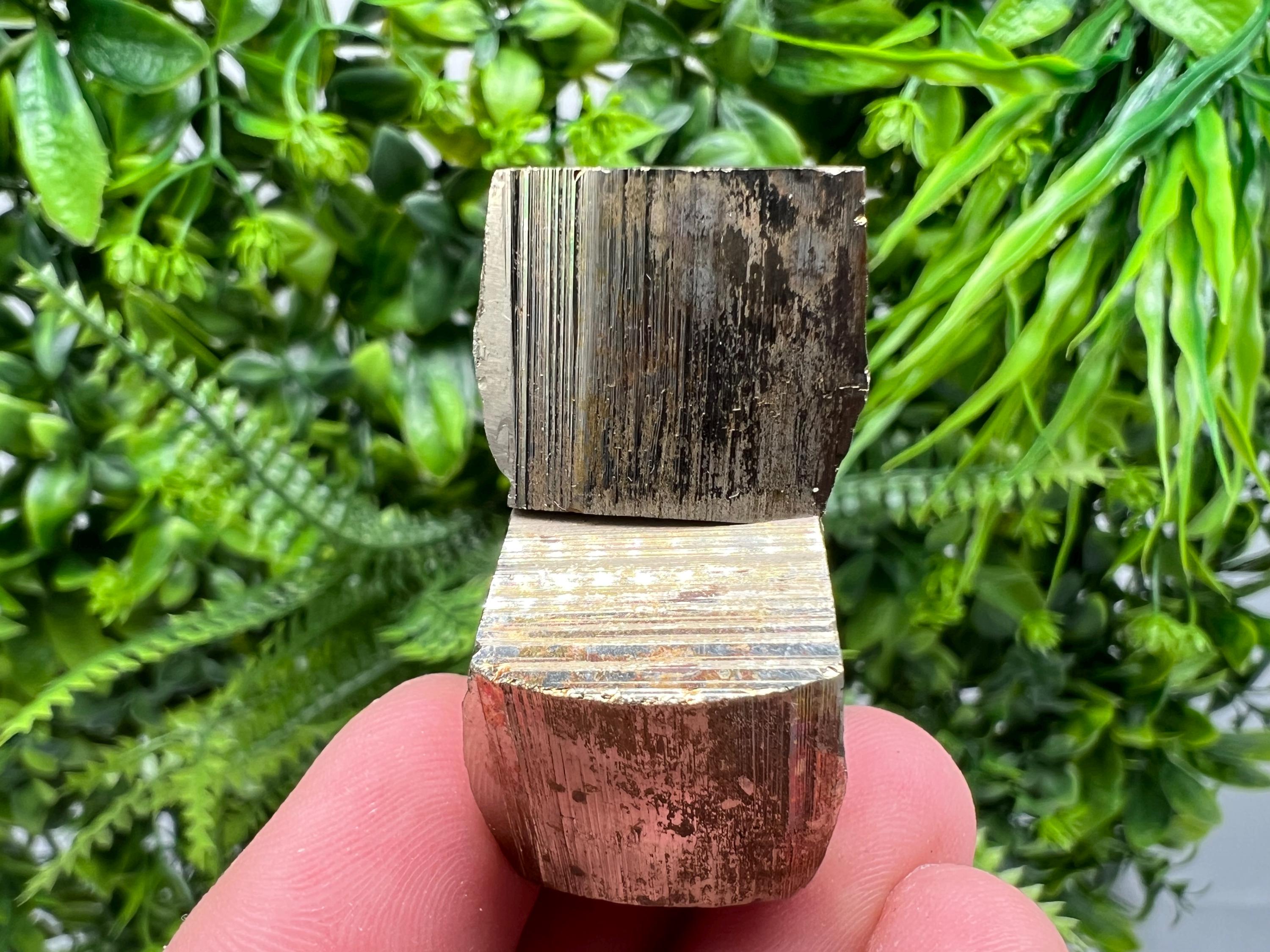 Rare Mini Pyrite Cluster: Borieva Mine, Bulgaria