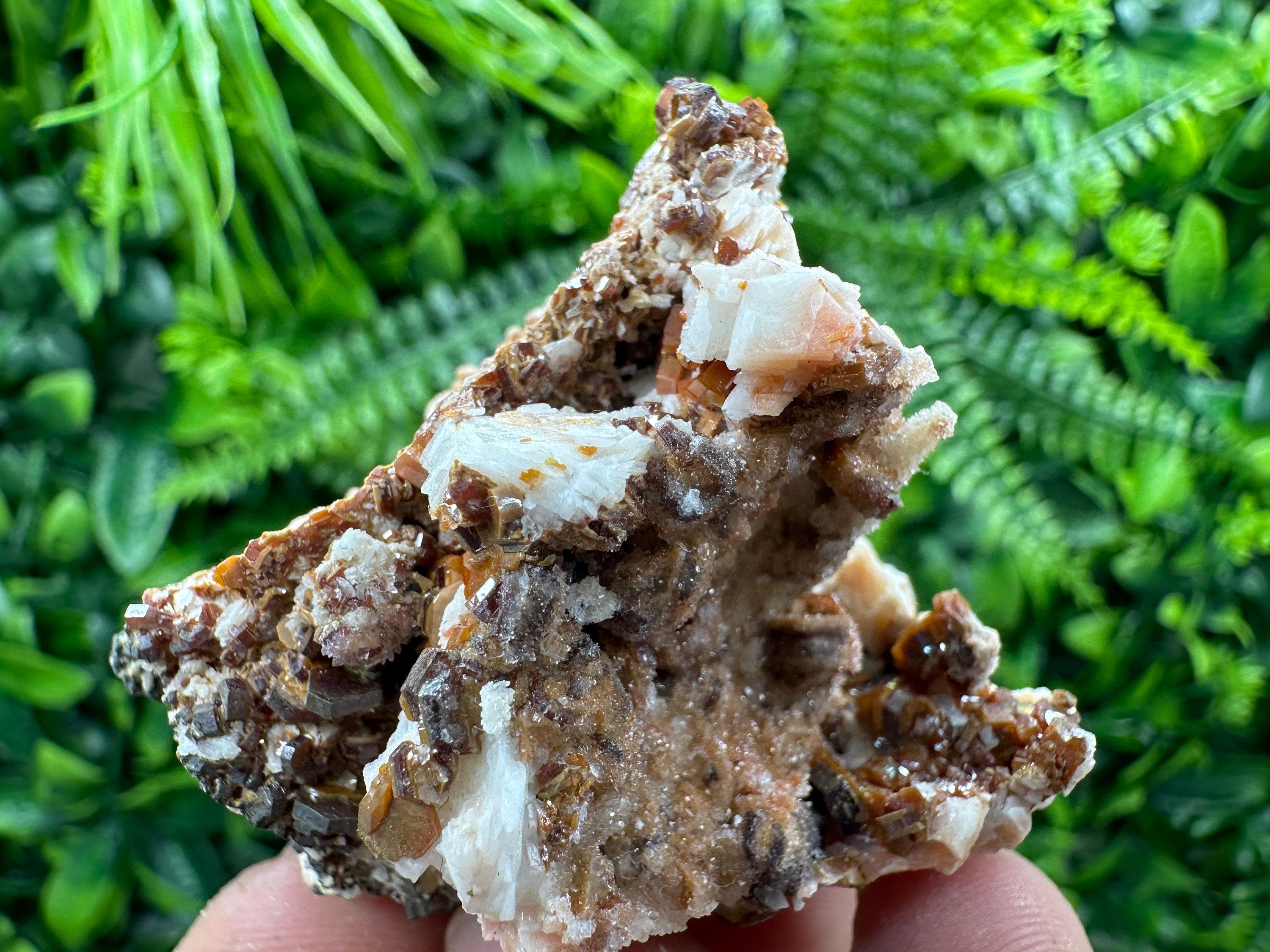 Red Vanadinite Crystal Cluster on Matrix, Morocco Specimen