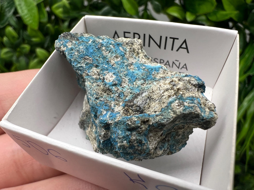 Rare Raw Aerinite Mineral Specimen: Lleida, Spain Crystal