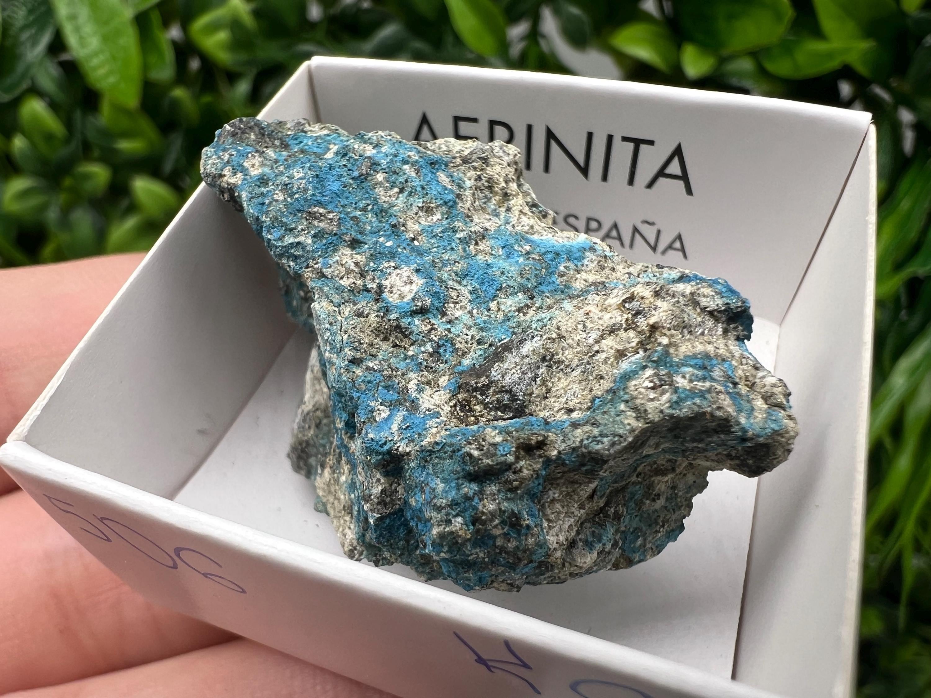 Rare Raw Aerinite Mineral Specimen: Lleida, Spain Crystal