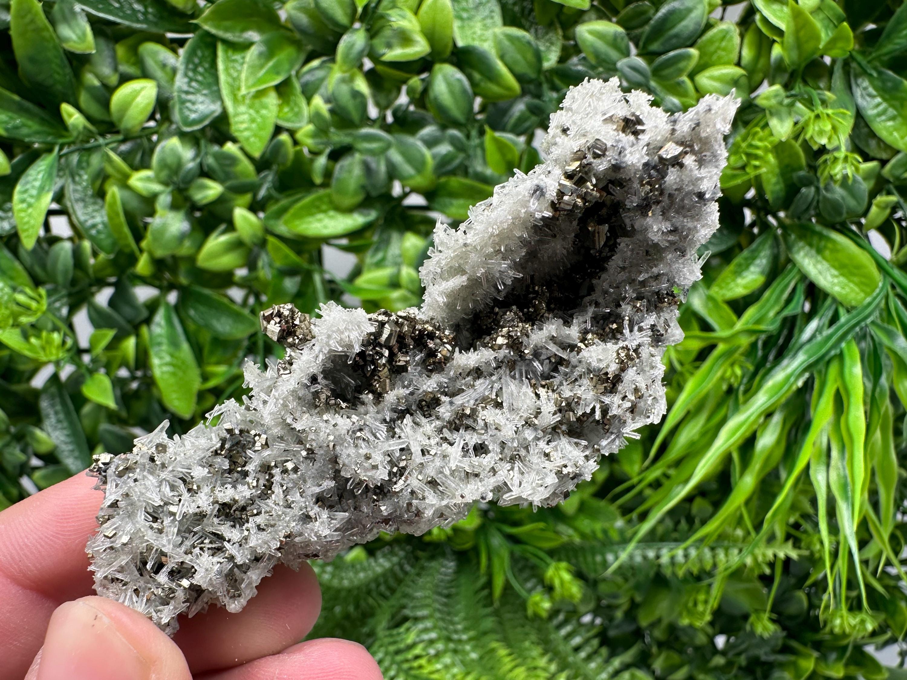 Pyrite on Needle Quartz, Madan Bulgaria, Collection Mineral Specimen
