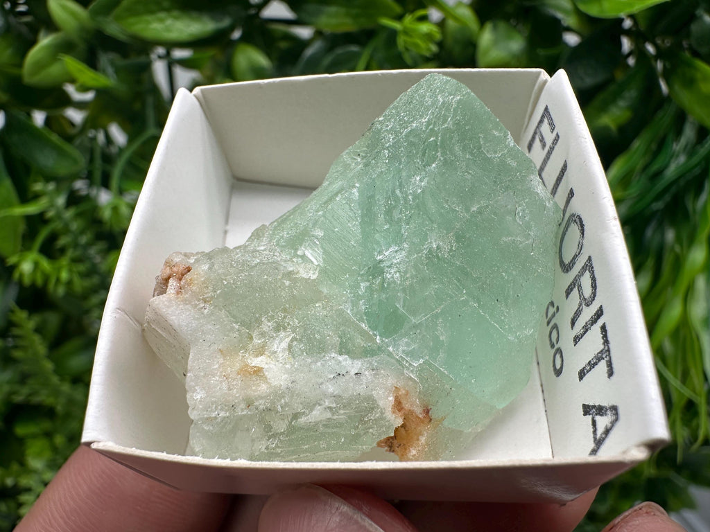 Rare Rainbow Fluorite Cube: Raw Mexican Crystal, Meditation Stone
