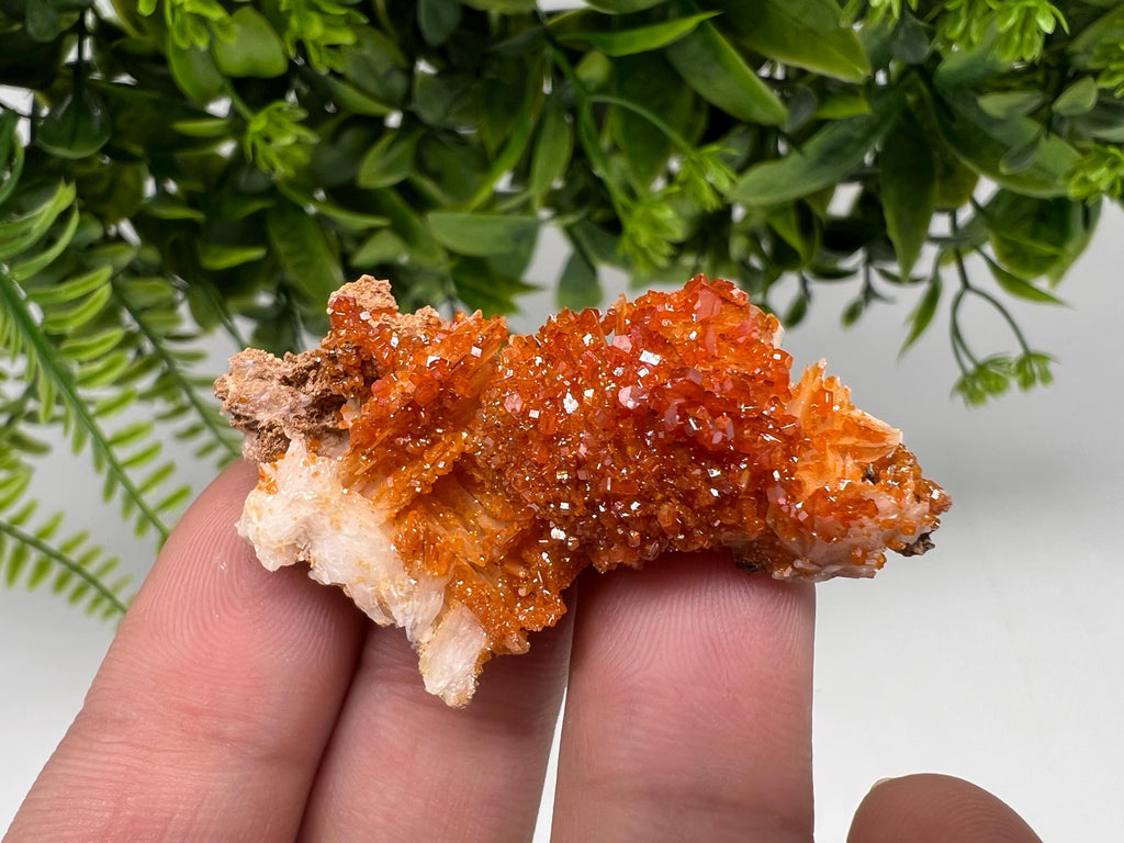 Red Vanadinite on Barite from Marocco,crystal minerals Speciment cluster Vanadinite crystal Vanadinite Geology Vanadinite cluster minerals