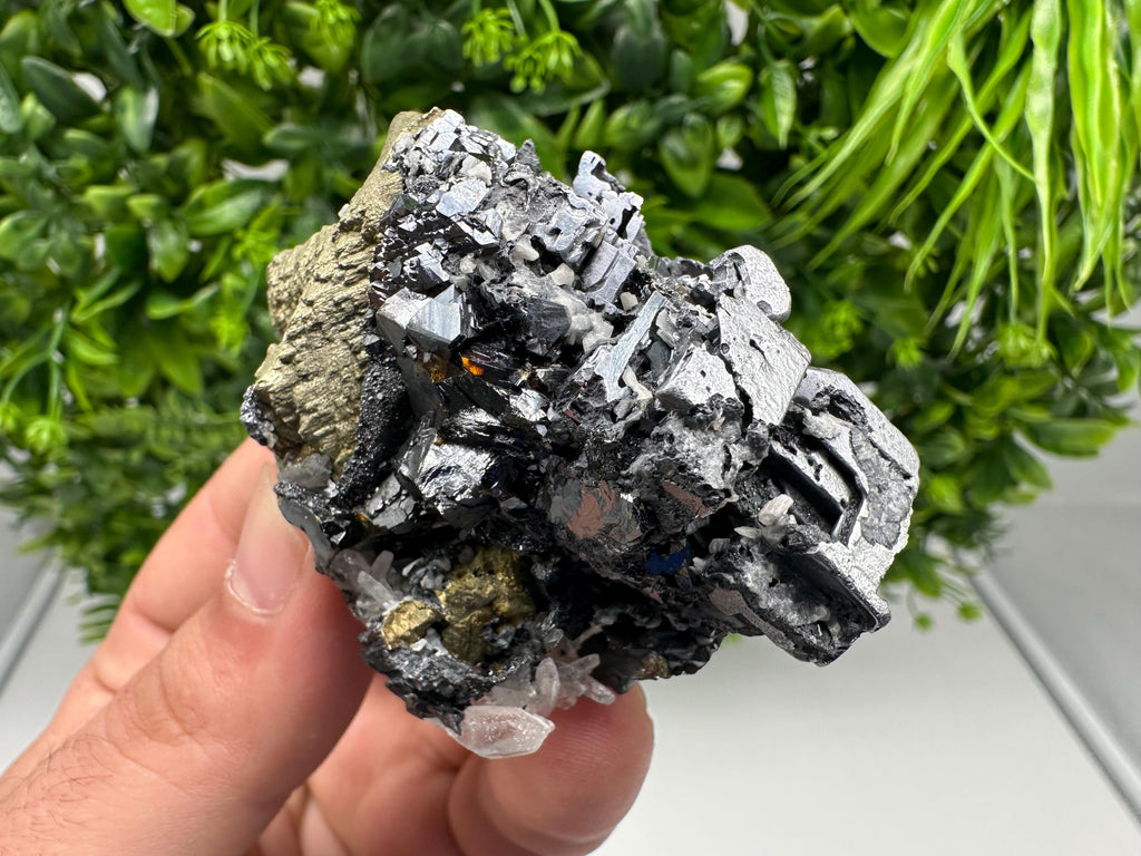 Wonderful Sphalerite Chalcopyrite on  Quartz whit Galena feom 9 th September mine,Bulgaria,natural,collection mineral specimen,gift
