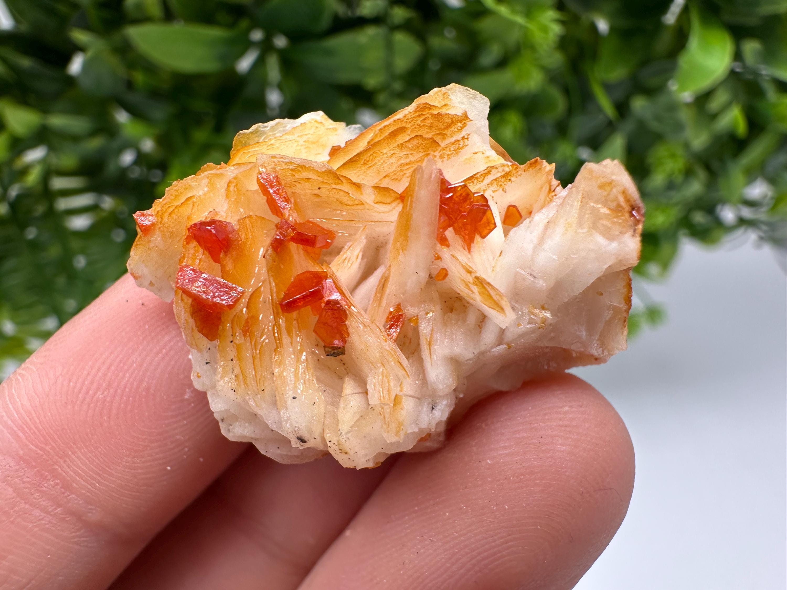 Red Vanadinite on Barite from Marocco,crystal minerals Speciment cluster Vanadinite crystal Vanadinite Geology Vanadinite cluster minerals