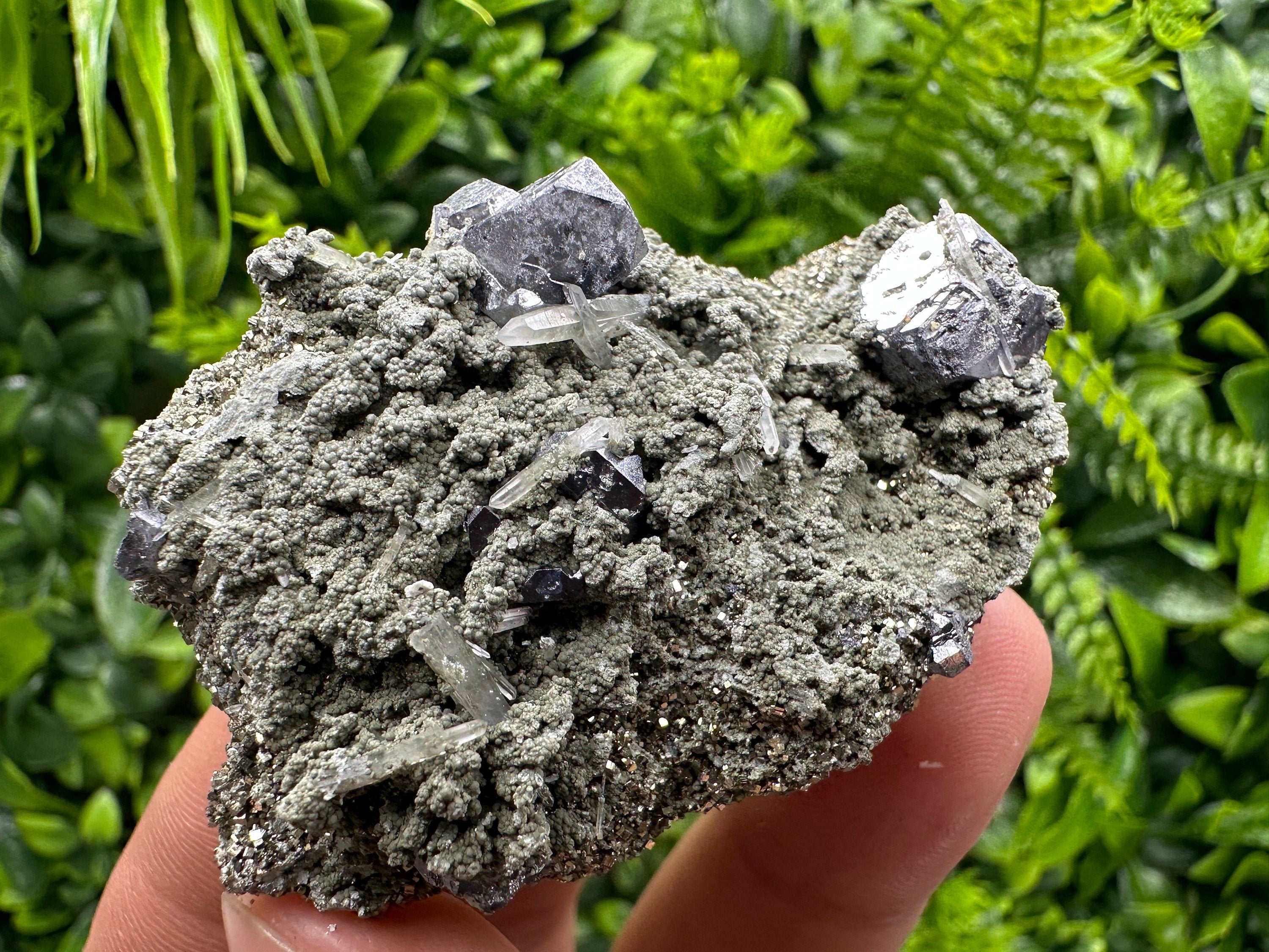 Galena Spinel Law Crystal on Quartz & Chlorite, Borieva Bulgaria