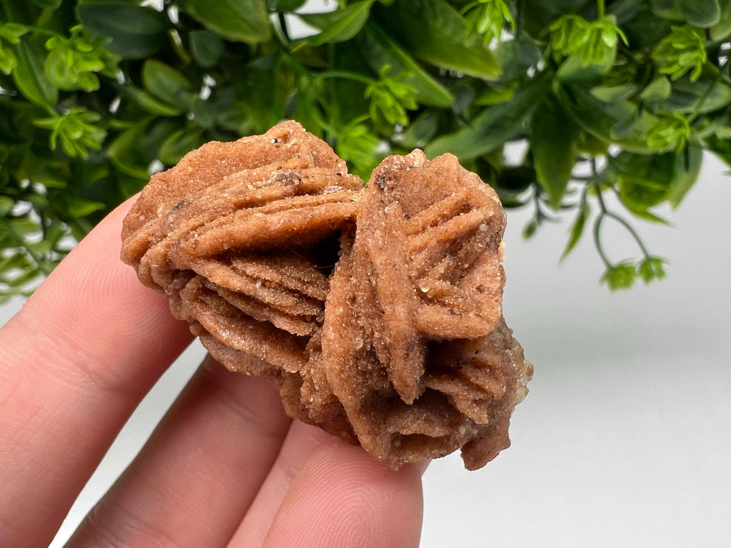 Desert Rose Crystal: Root Chakra Healing Selenite Stone