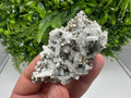 Pyrite on Green Quartz Mineral Specimen, Borieva Mine Bulgaria