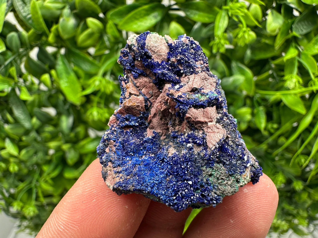Crystallized Azurite-Kerrouchen,Morocco-Blue Azurite Specimen-High Quality Blue Azurite-Azurite Mineral Specimen, gemmy,lustrous of Azurite