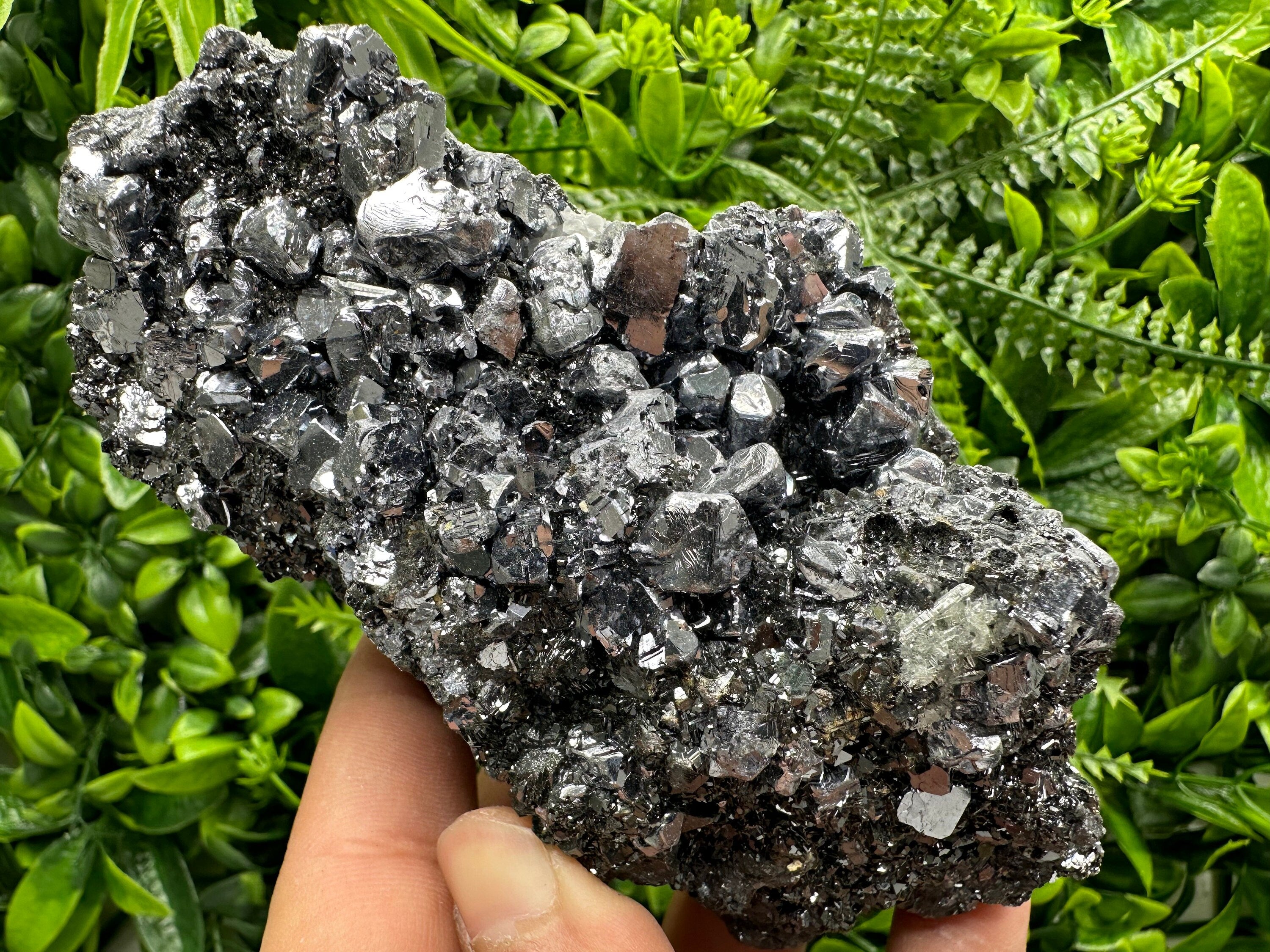 Mirror Galena on Sphalerite, Borieva Mine Mineral Specimen