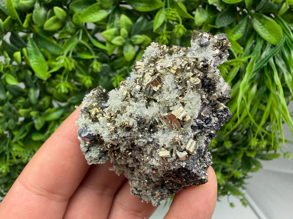 Pyrite Sphalerite Quartz  Mineral Specimen, Krushev dol Mine
