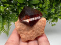 Orange-Brown Arcanite Mineral Specimen, Santa Ana Tin Mine