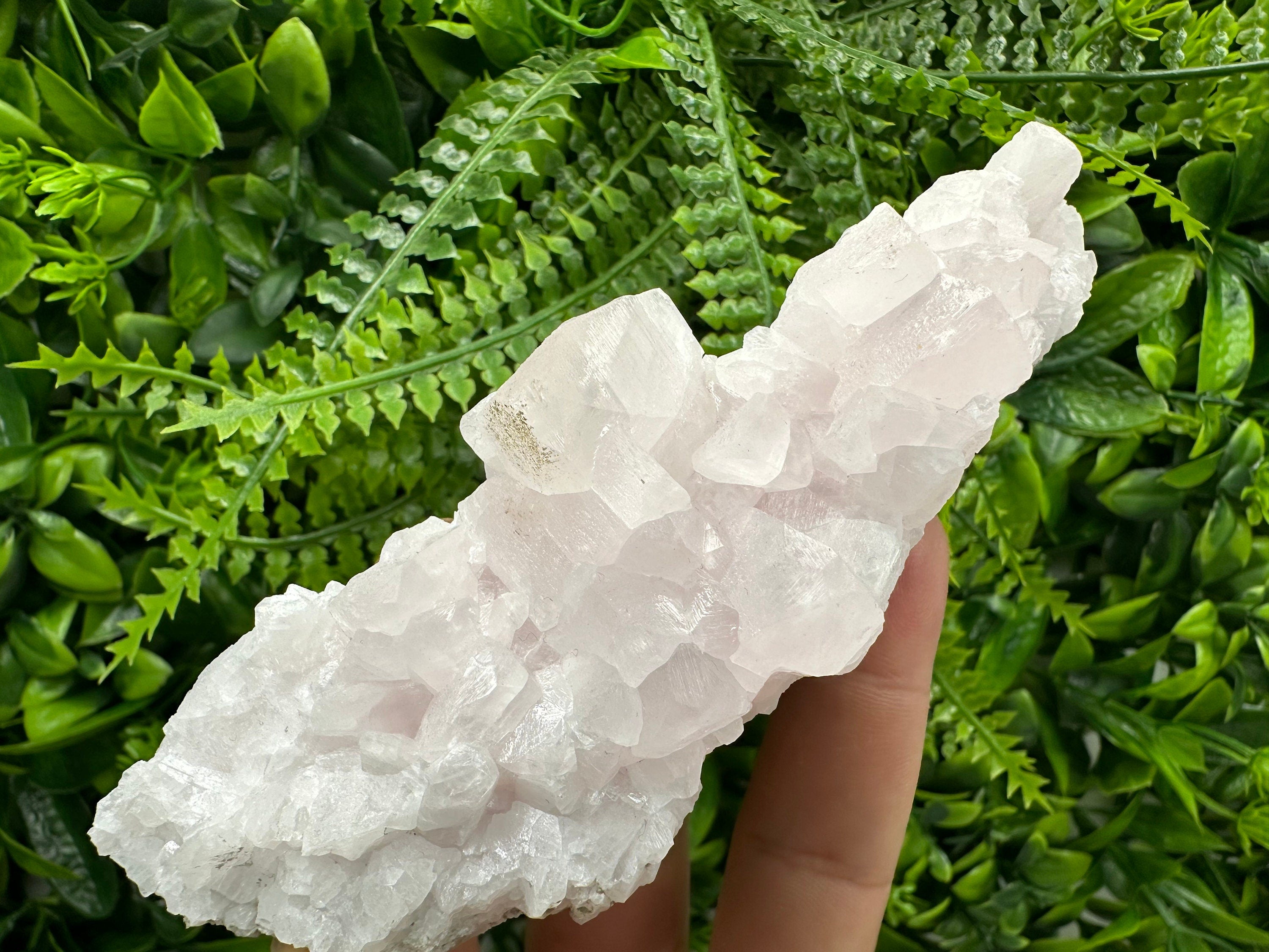 Bulgarian Calcite Specimen: Djurcovo Mine Mineral Cluster