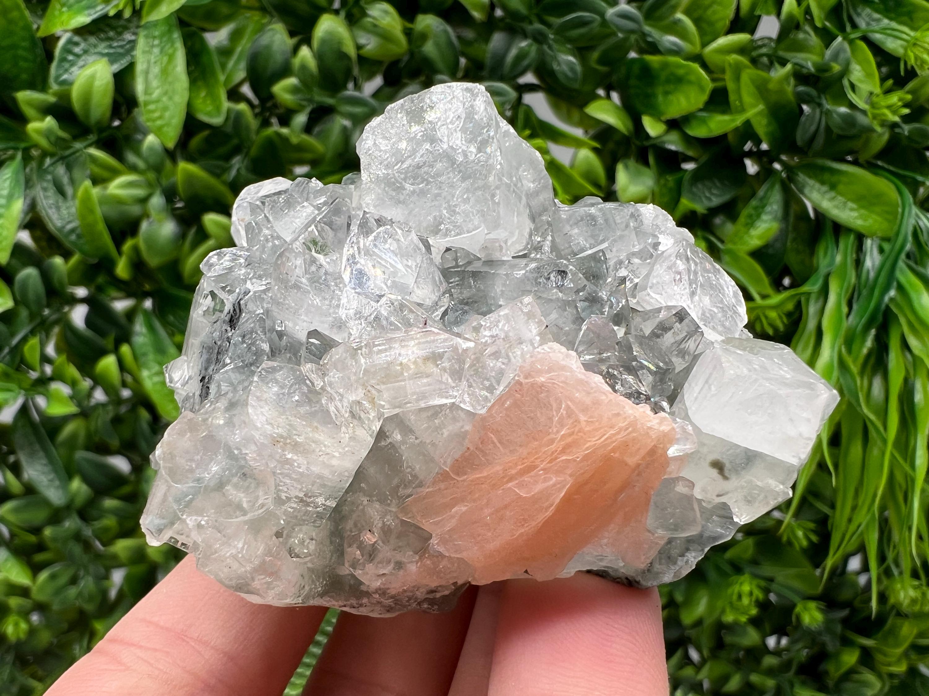 STUNNING Apophyllite,Stilbite,on CHALCEDONY,natural,collection minerals specimen,India ,Mineral,Crystal,Stone Mineral Specimen India Crystal